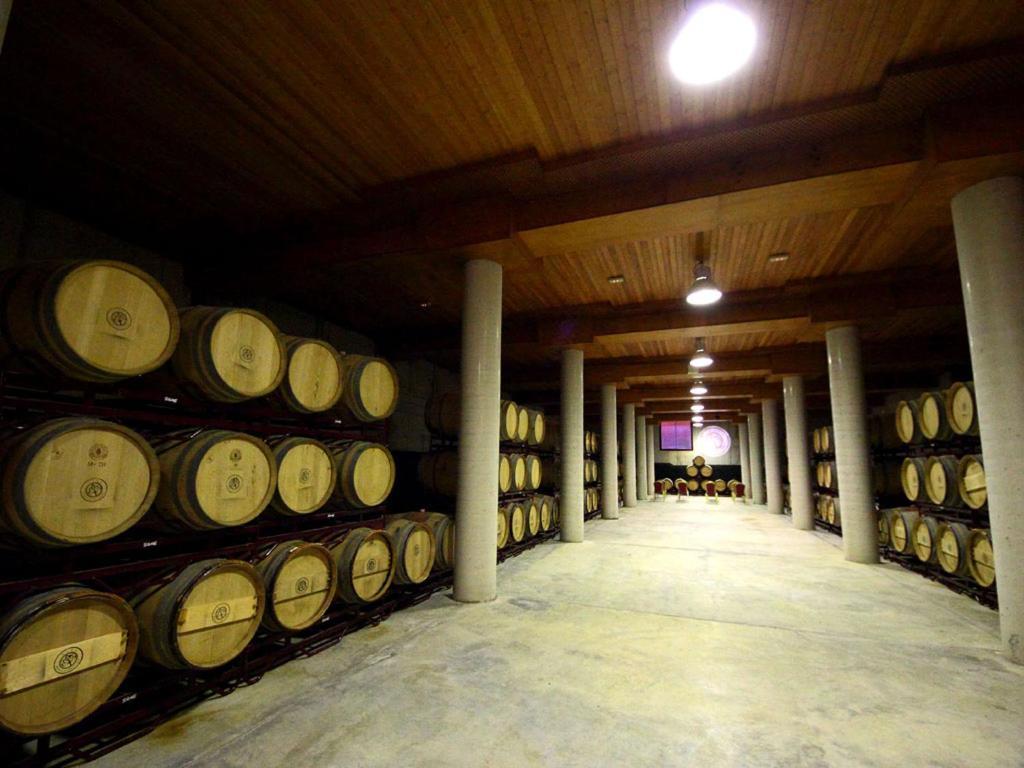 Hotel Chateau Vinasoro Alcazar de San Juan Dış mekan fotoğraf